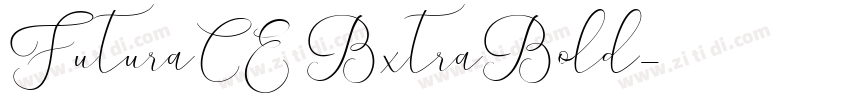 FuturaCE BxtraBold字体转换